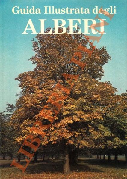 Guida illustrata degli alberi - Richard Gorer - copertina