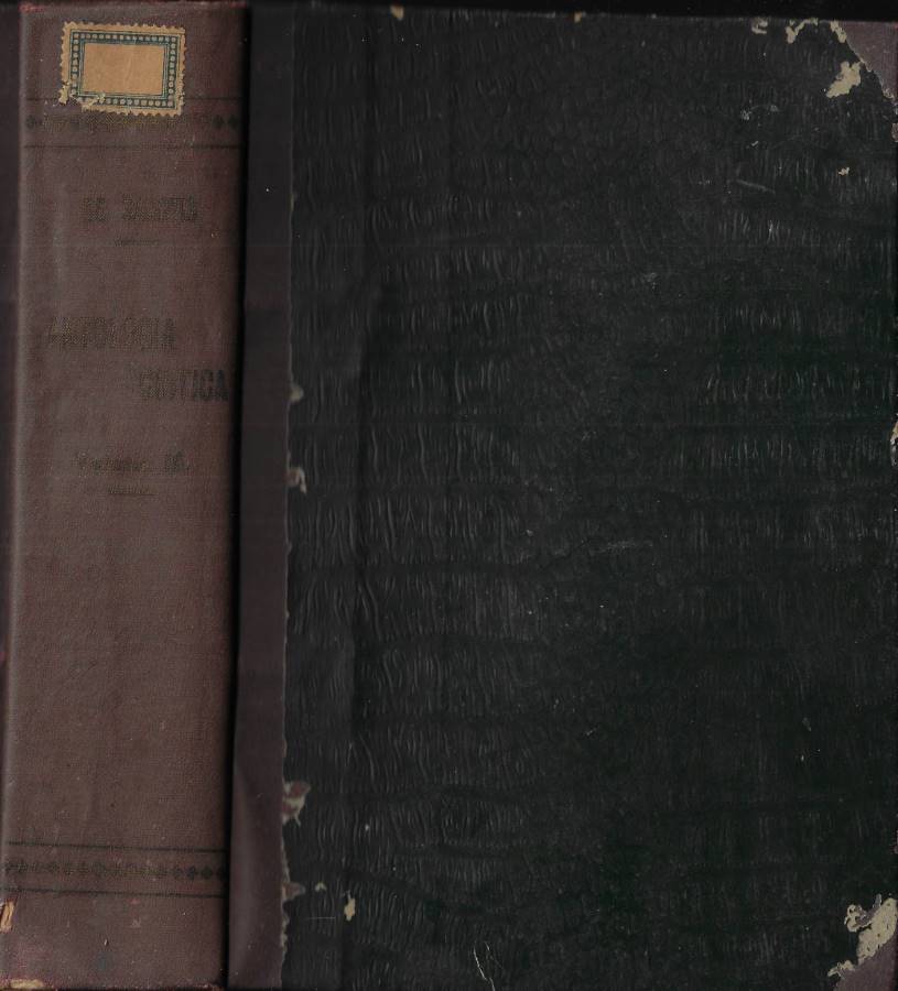 Biblioteca di Babele