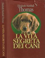 La vita segreta dei cani