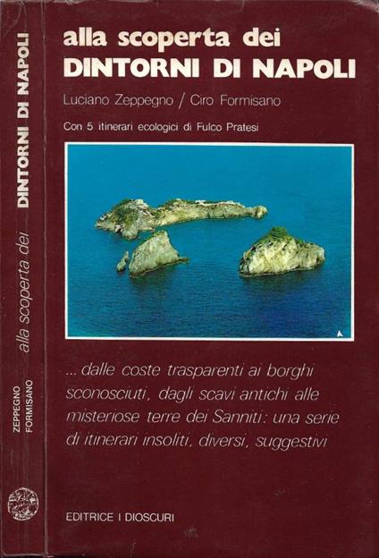 Alla scoperta dei dintorni di Napoli - Luciano Zeppegno - copertina