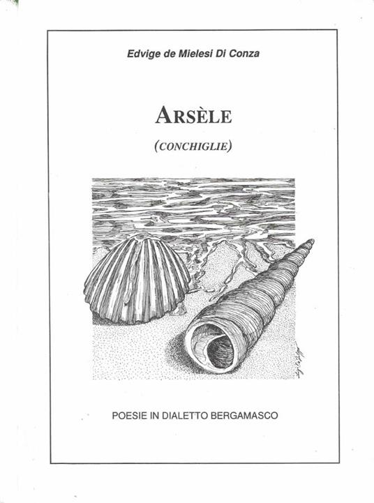 Arsèle (Conchiglie) - copertina