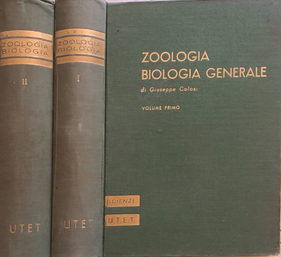Biblioteca di Babele