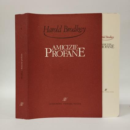 Amicizie profane - Harold Brodkey - copertina