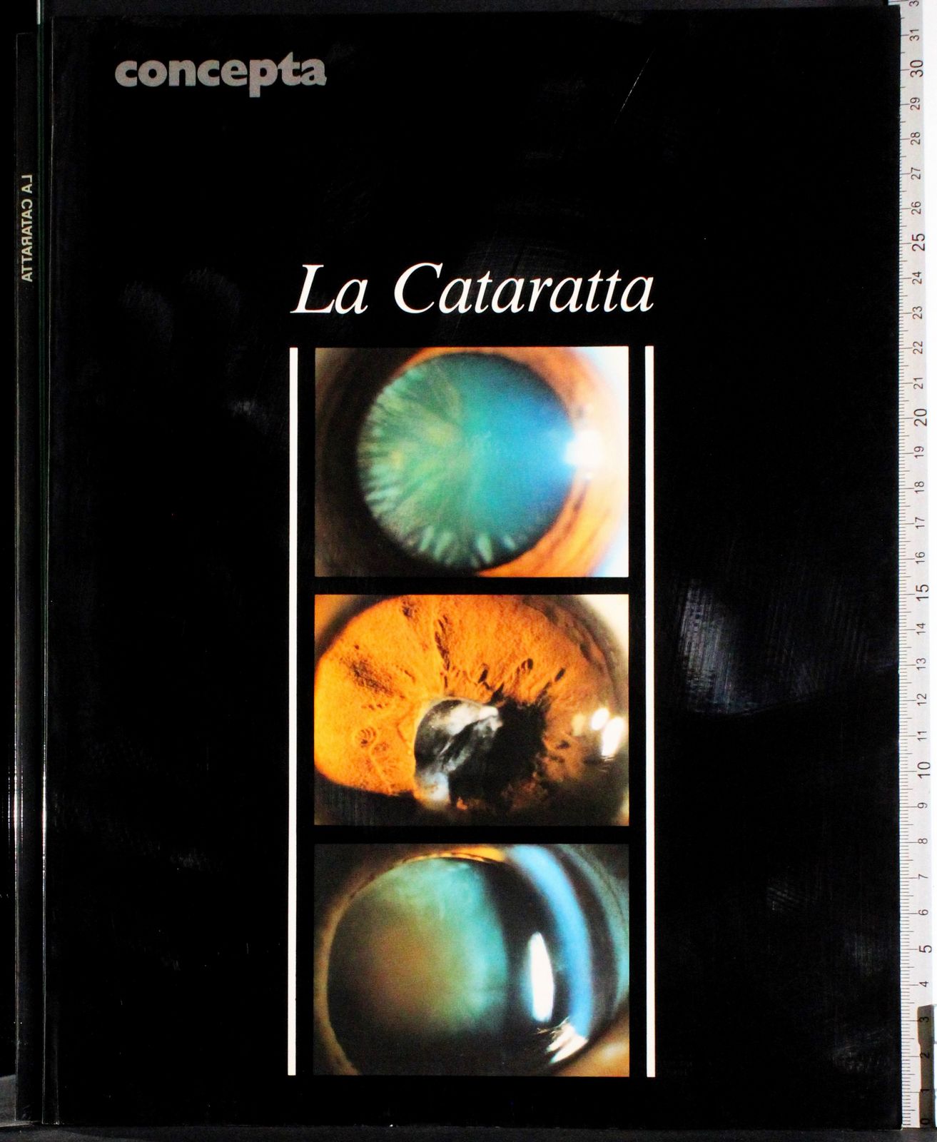 Cartarum