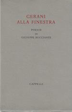 Gerani alla finestra