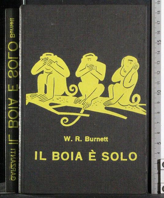 boia è solo - Burnett - copertina