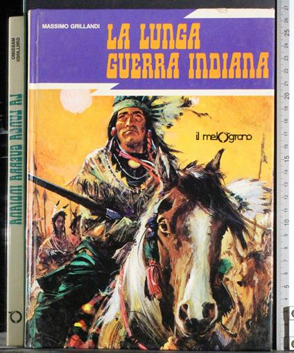 lunga guerra indiana - Massimo Grillandi - copertina