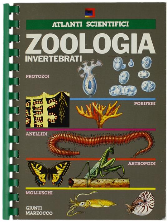 The LIFE OF REPTILES. Vols. 1 & 2. - Bellairs Angus. - Weidenfeld and Nicolson, - 1969 - copertina