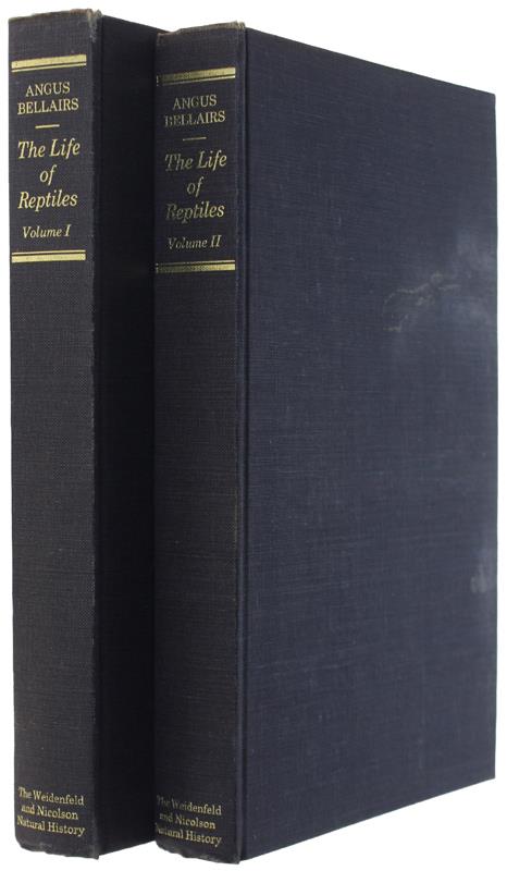 Bergoglio Libri d'Epoca Snc