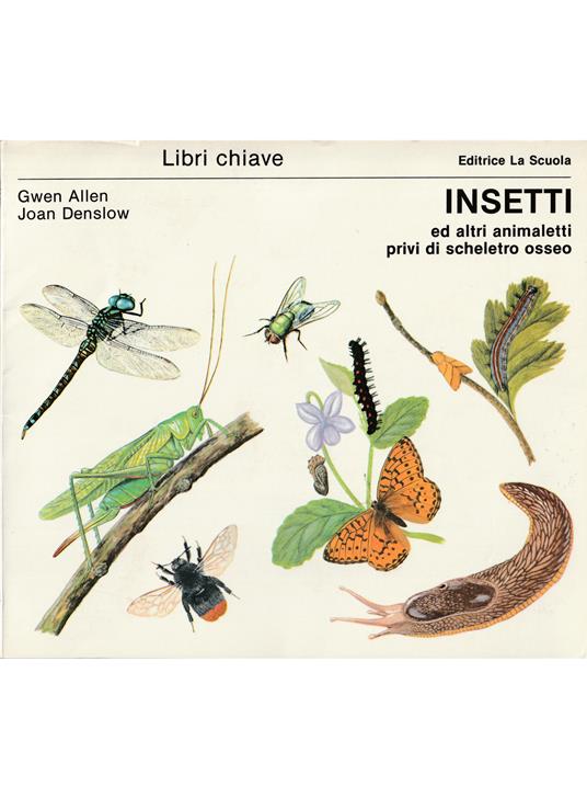 Insetti ed altri animaletti privi di scheletro osseo - copertina