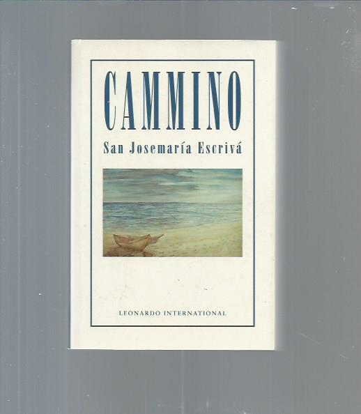 Cammino - copertina
