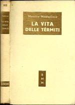 vita delle tèrmiti