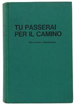 Tu Passerai Per Il Camino. Vita E Morte A Mauthausen
