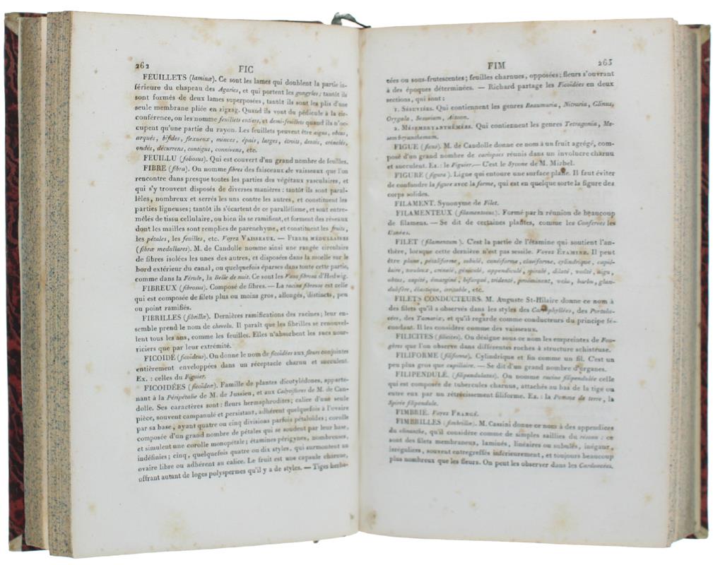 Dictionnaire Raisonnè Des Termes De Botanique Et Des Familles Naturelles, Conténant L'Étymologie Et La Description Détaillée De Tous Les Organes, Leur Synonymie, Et La Définition Des Adjectifs Qui Servent À Les Décrire;