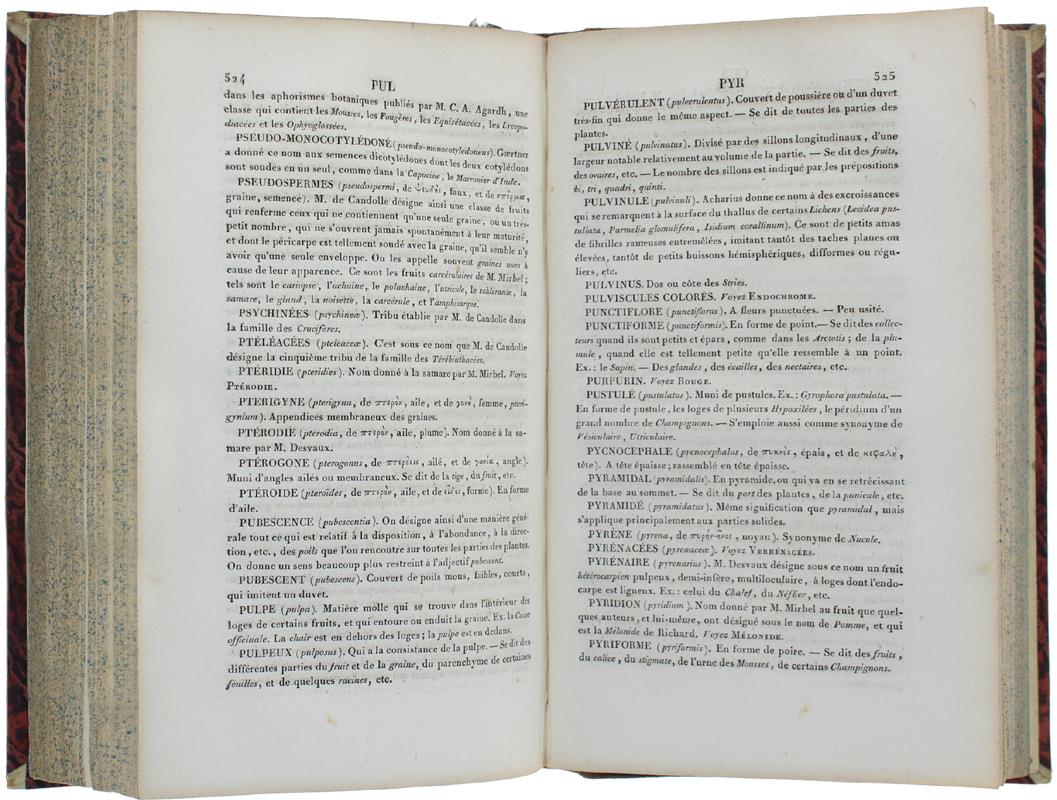 Dictionnaire Raisonnè Des Termes De Botanique Et Des Familles Naturelles, Conténant L'Étymologie Et La Description Détaillée De Tous Les Organes, Leur Synonymie, Et La Définition Des Adjectifs Qui Servent À Les Décrire;