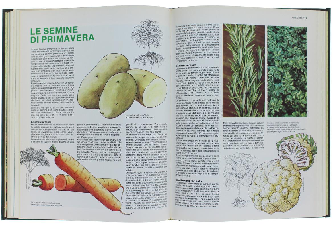 Il Mio Giardino. Guida Pratica Per Giardino E Orto [Completa: 11 Volumi]