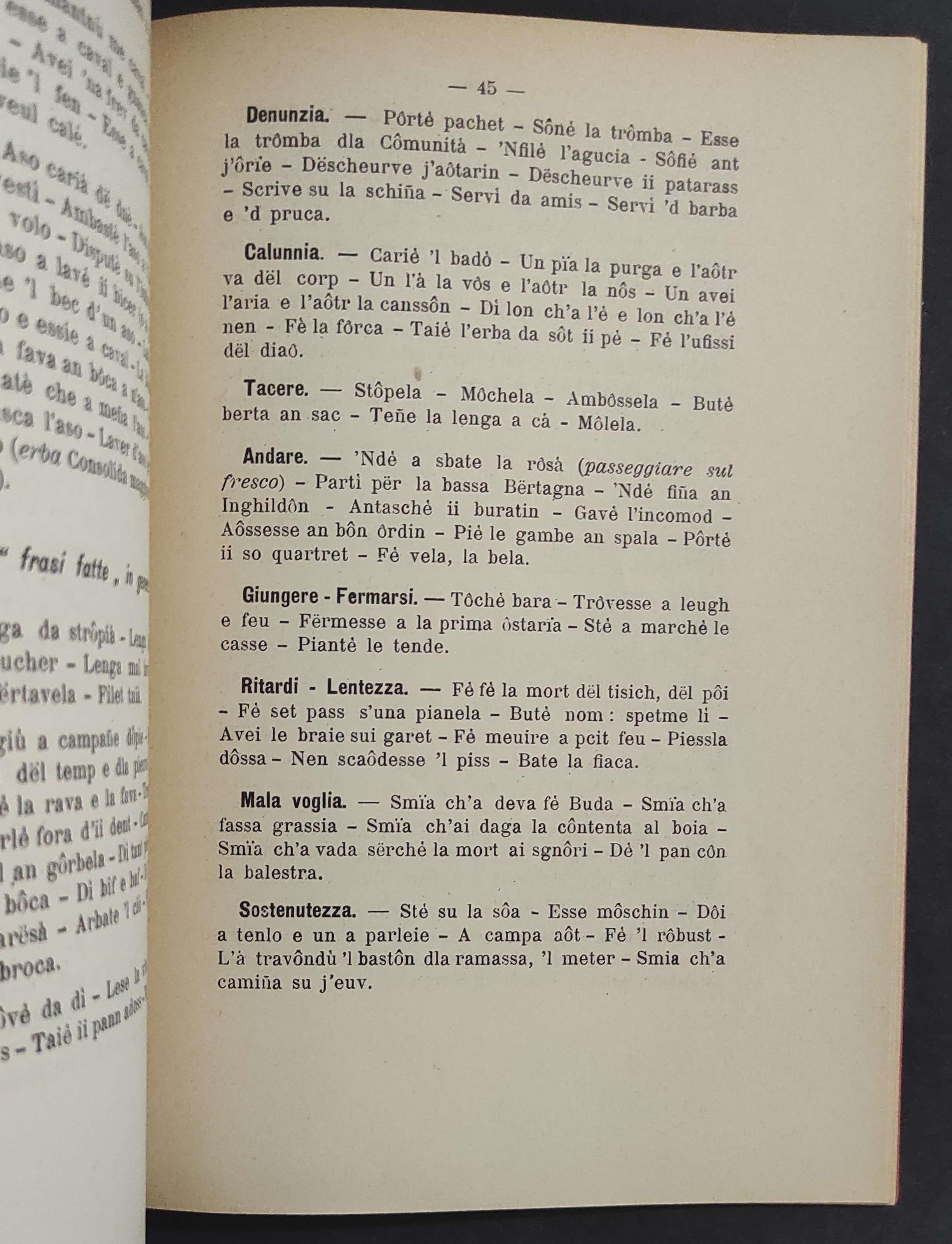 Come si Parla a Torino