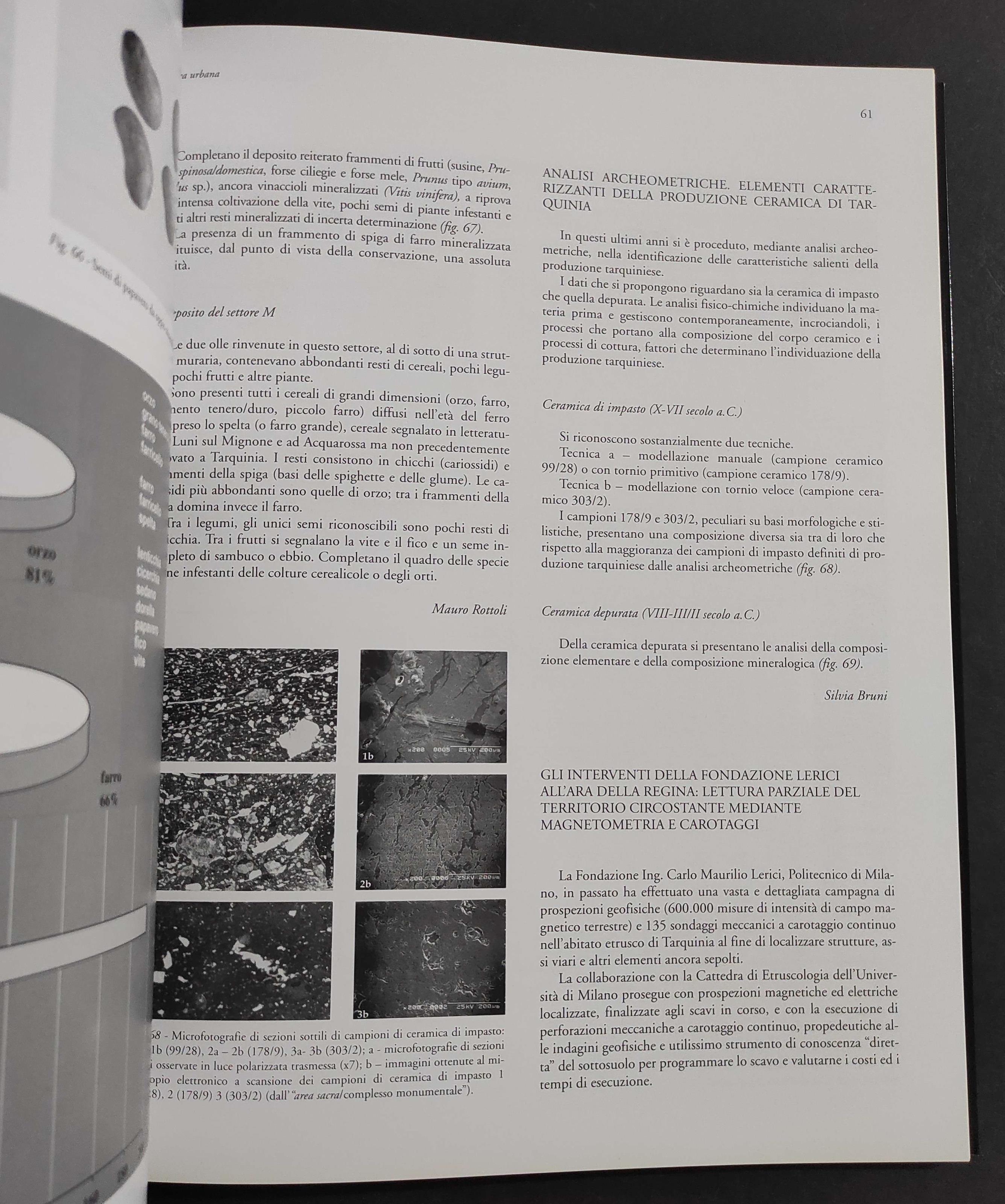 Tarquinia Etrusca Una Nuova Storia