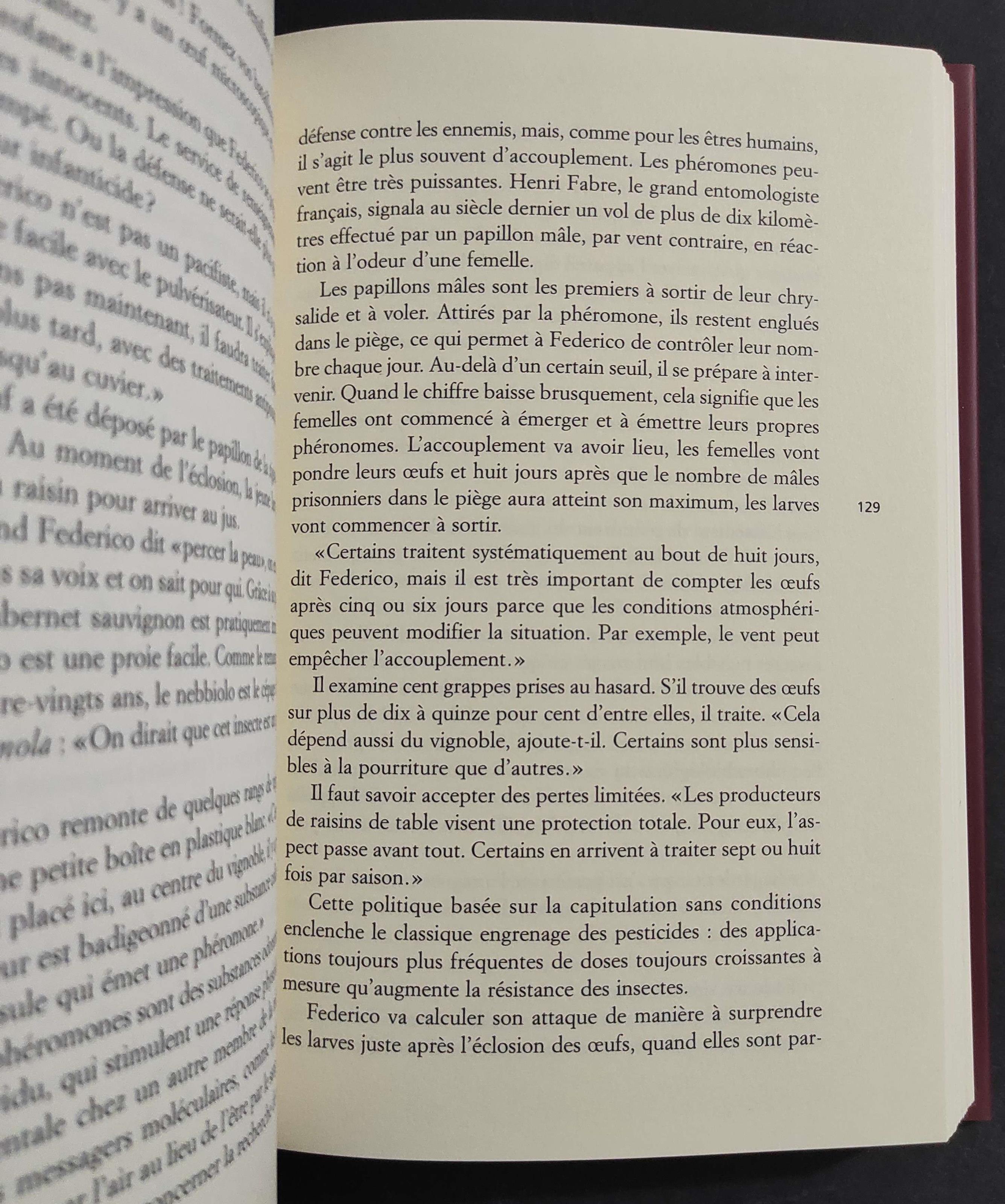Les Vignes de San Lorenzo ou l'Ascension d'Un Grand Vin