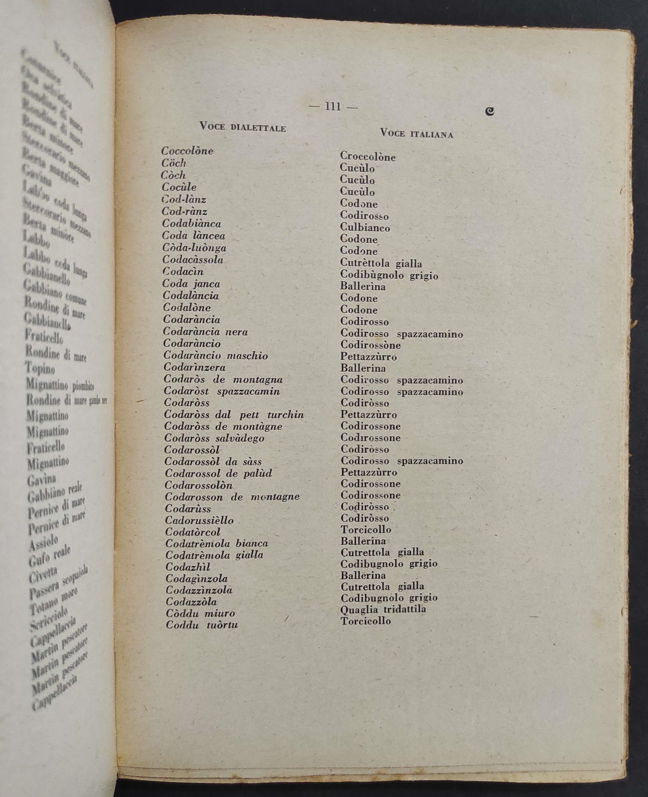 Dizionario Dialettale Italiano degli Uccelli d'Italia