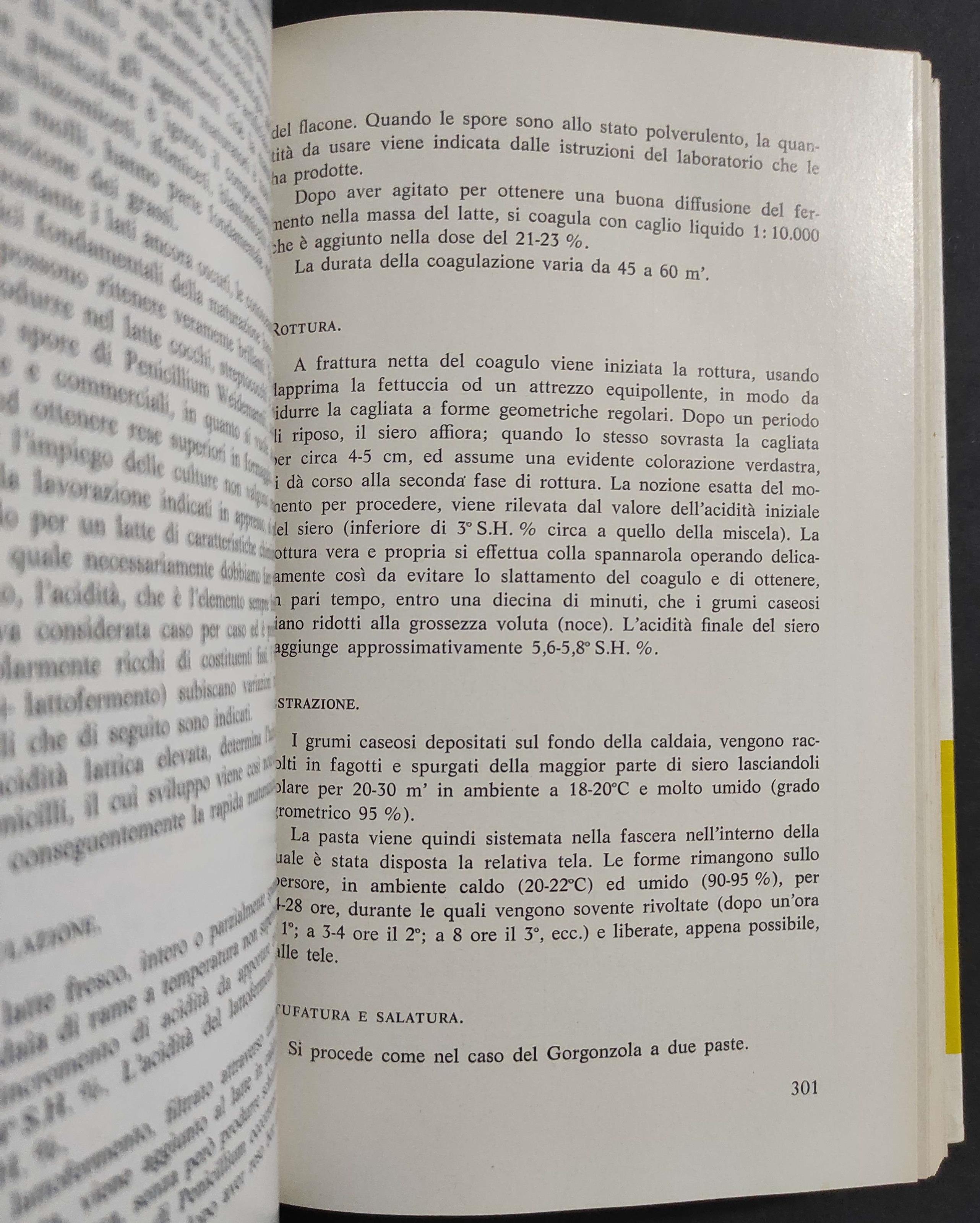 Manuale di Tecnologia Casearia