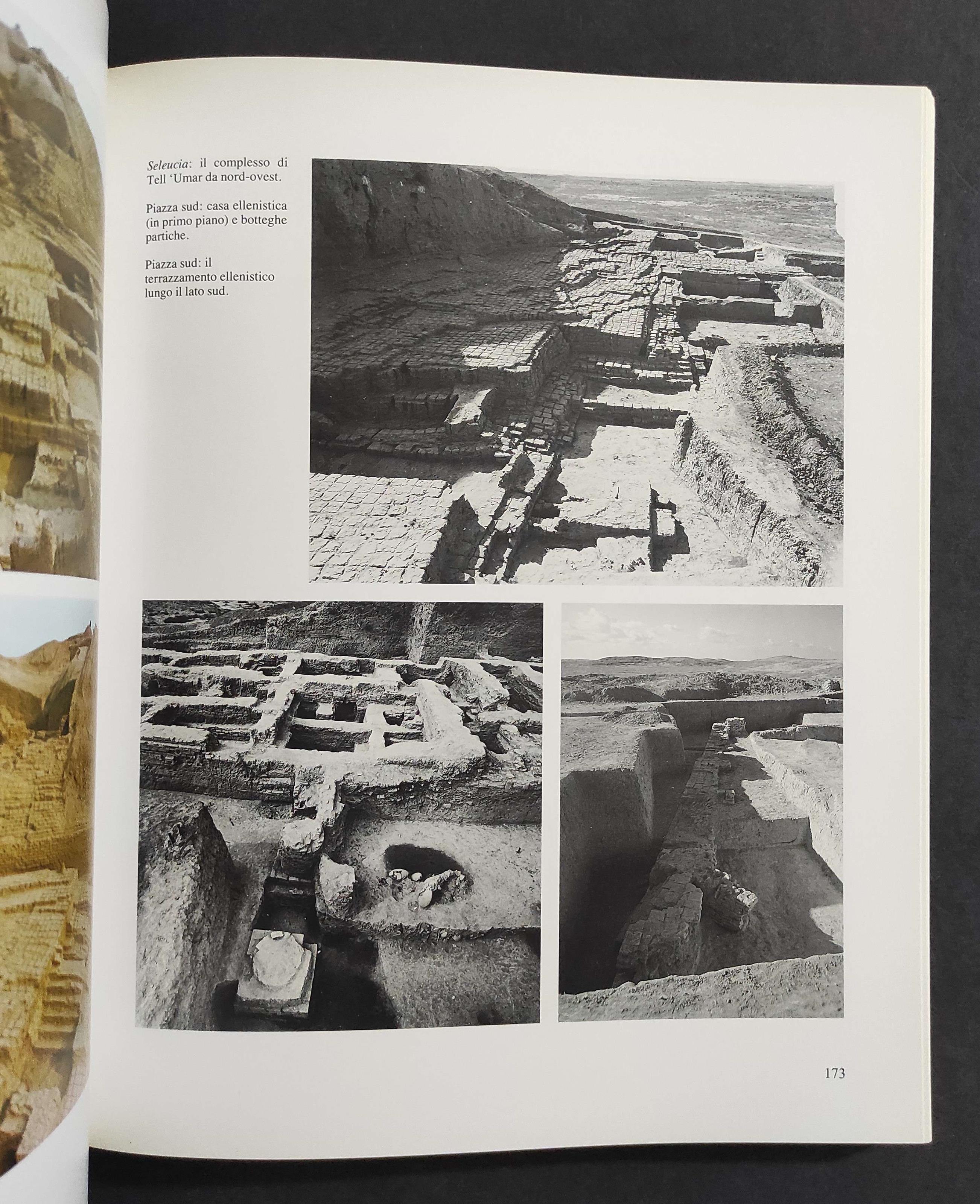 Terra tra i Due Fiumi