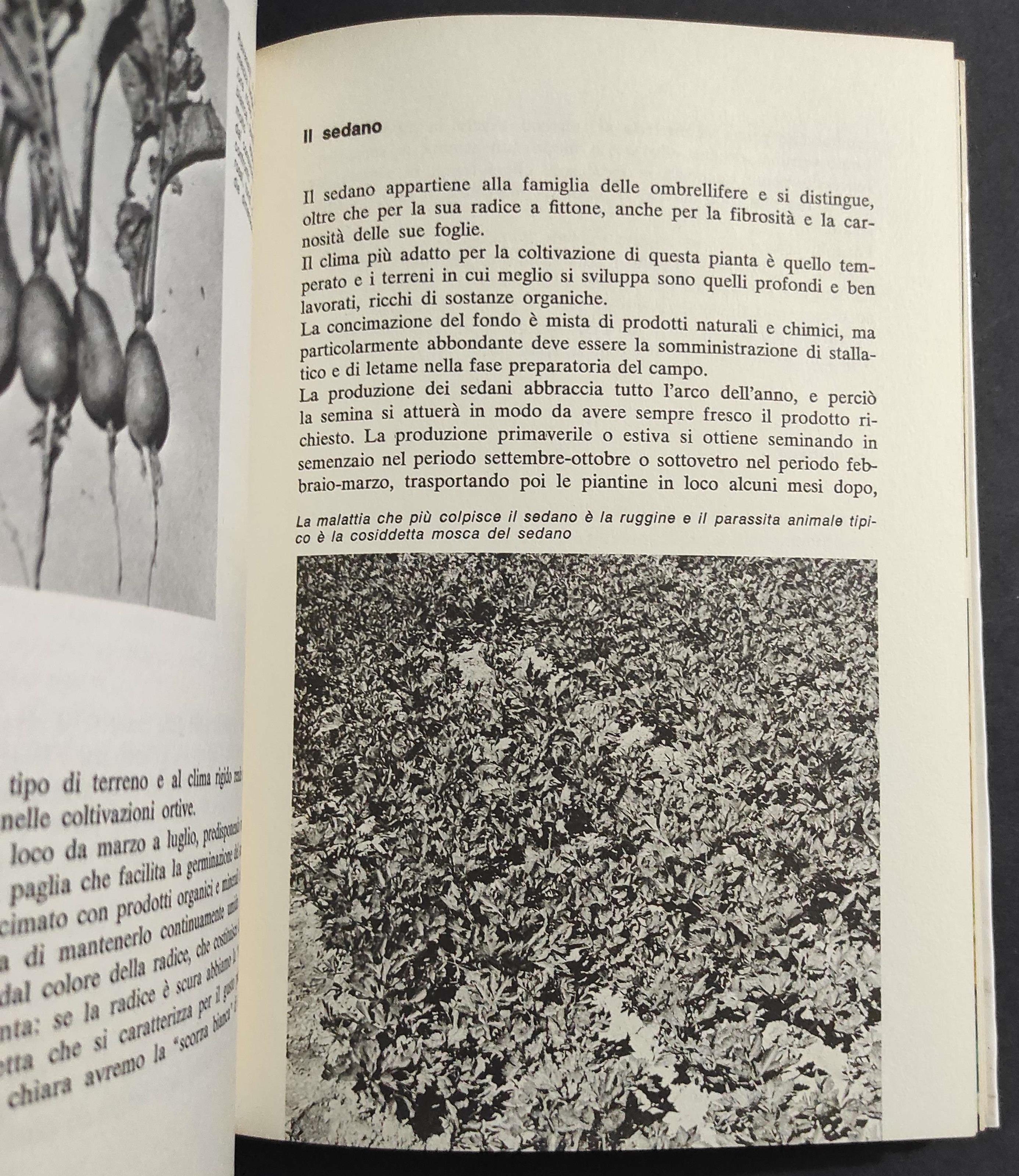 L' Orto e il Giardino
