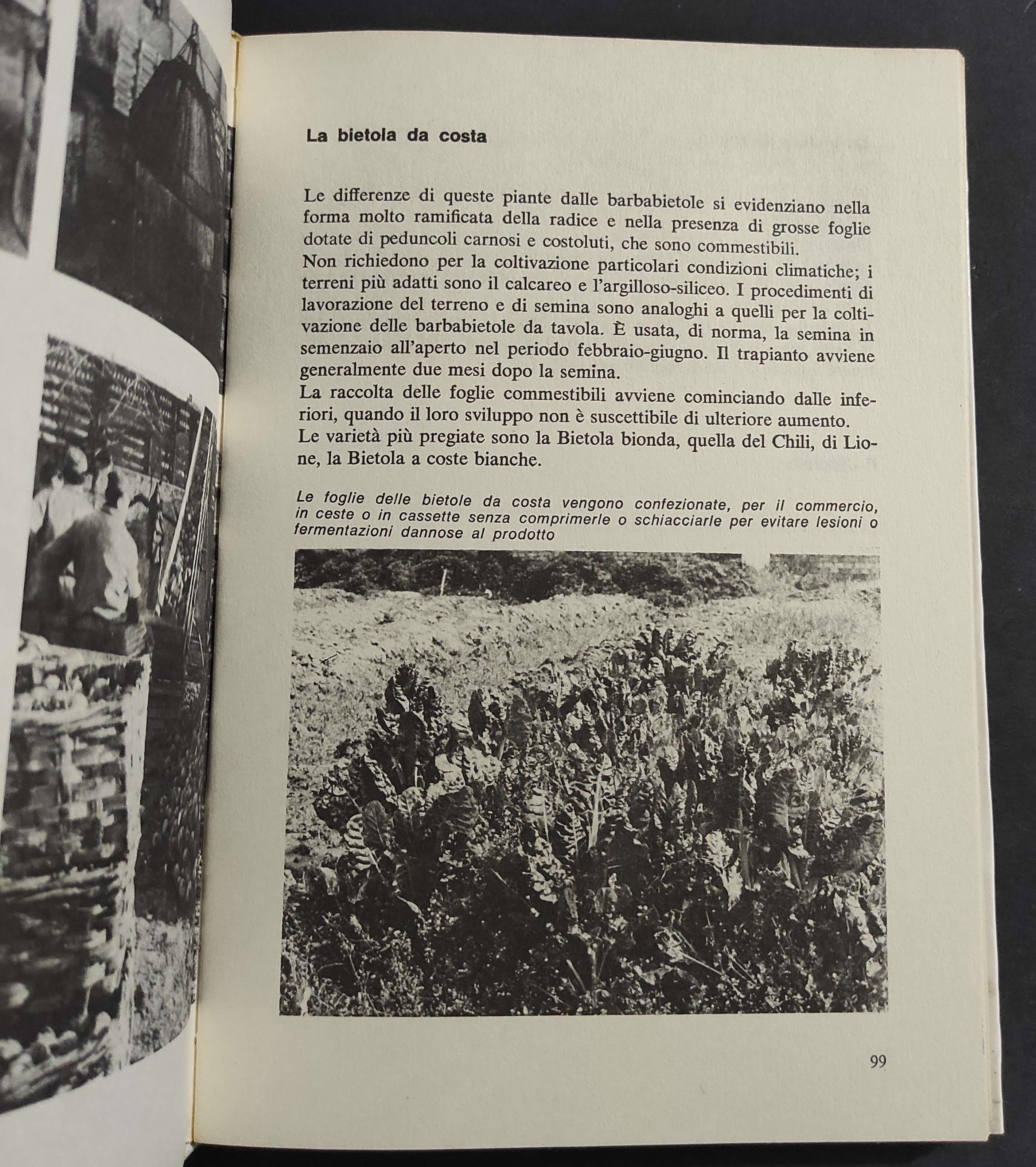 L' Orto e il Giardino
