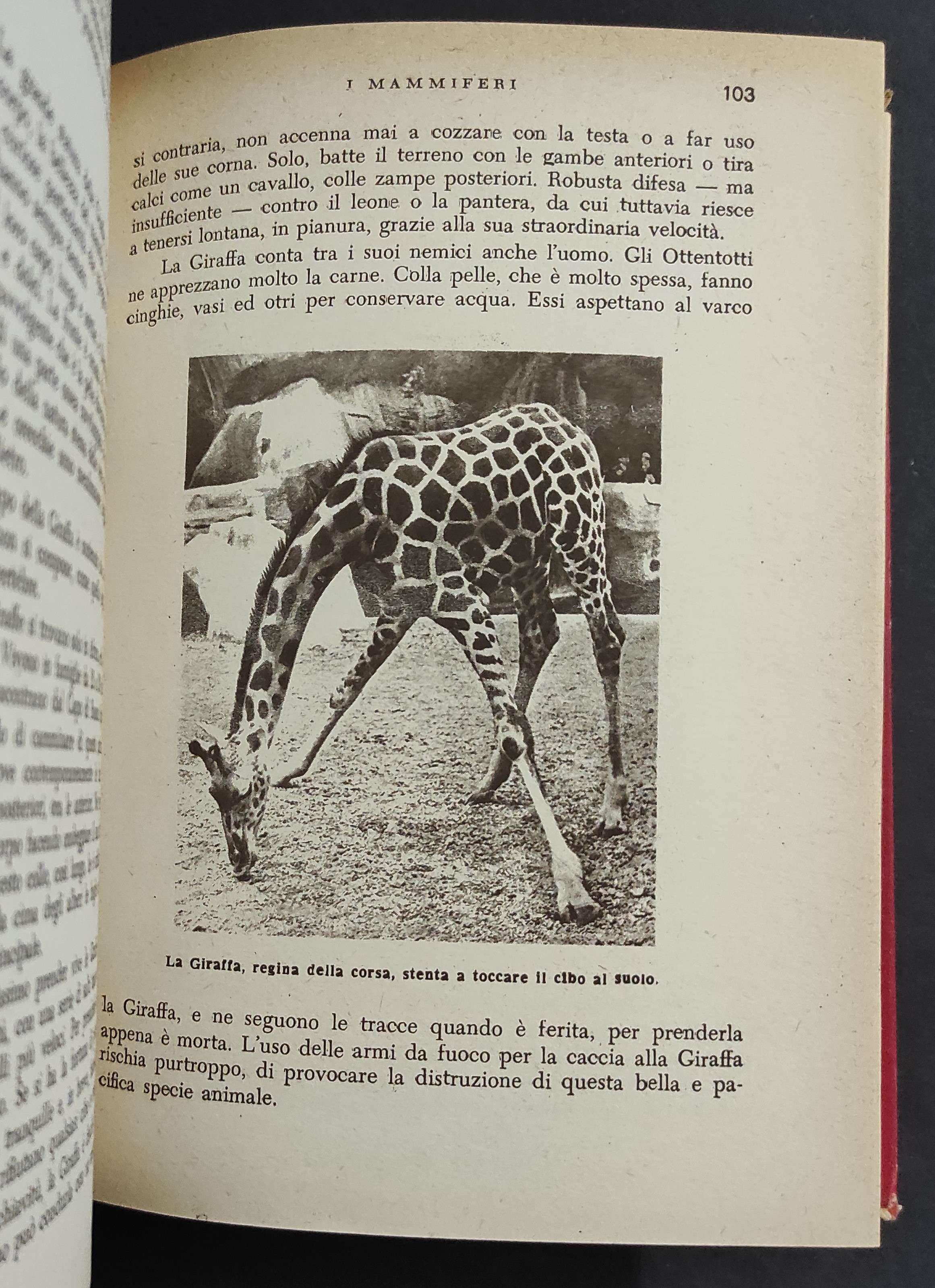 Enciclopedia illustrata delle Meraviglie della Natura Vol. I