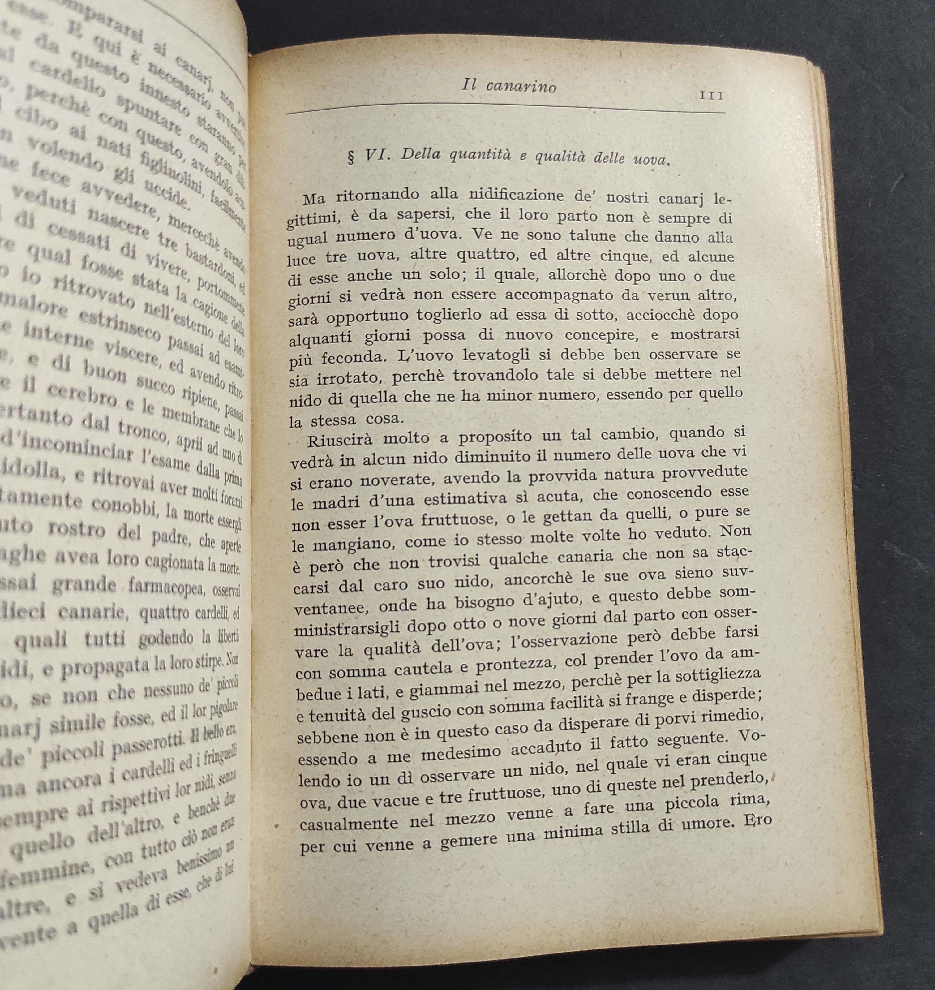 Il Canarino