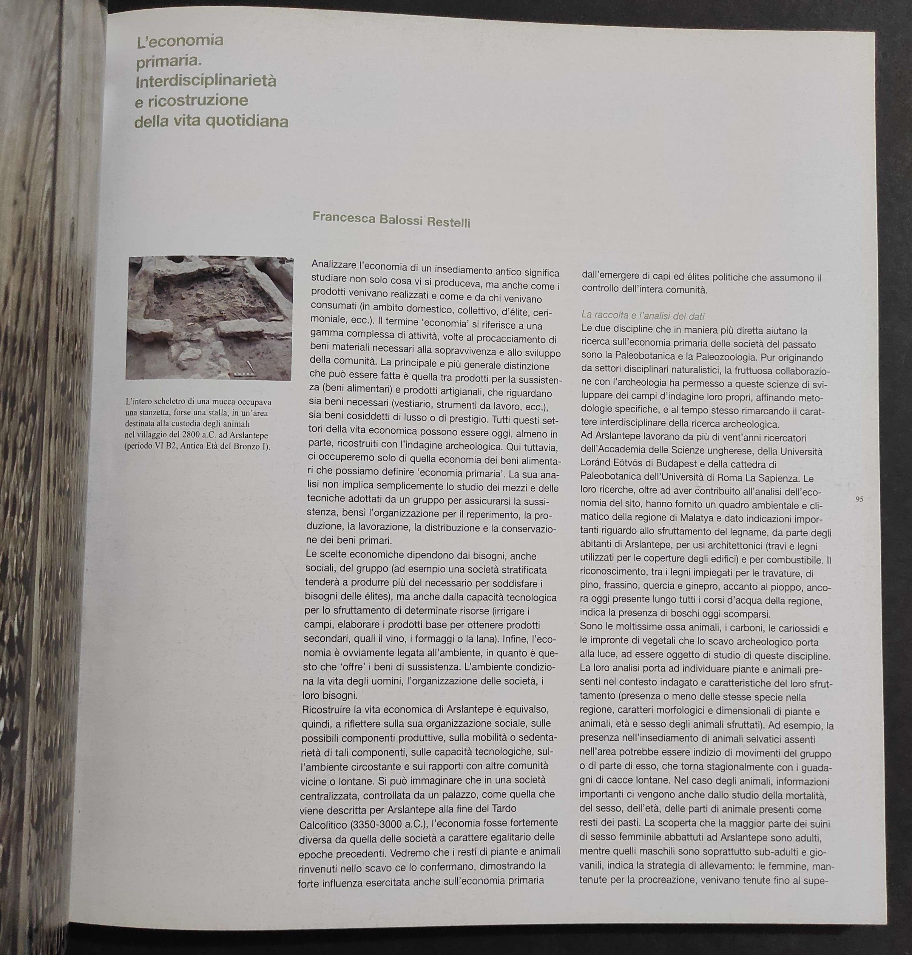 Alle Origini del Potere. Arslantepe, La Collina dei Leoni