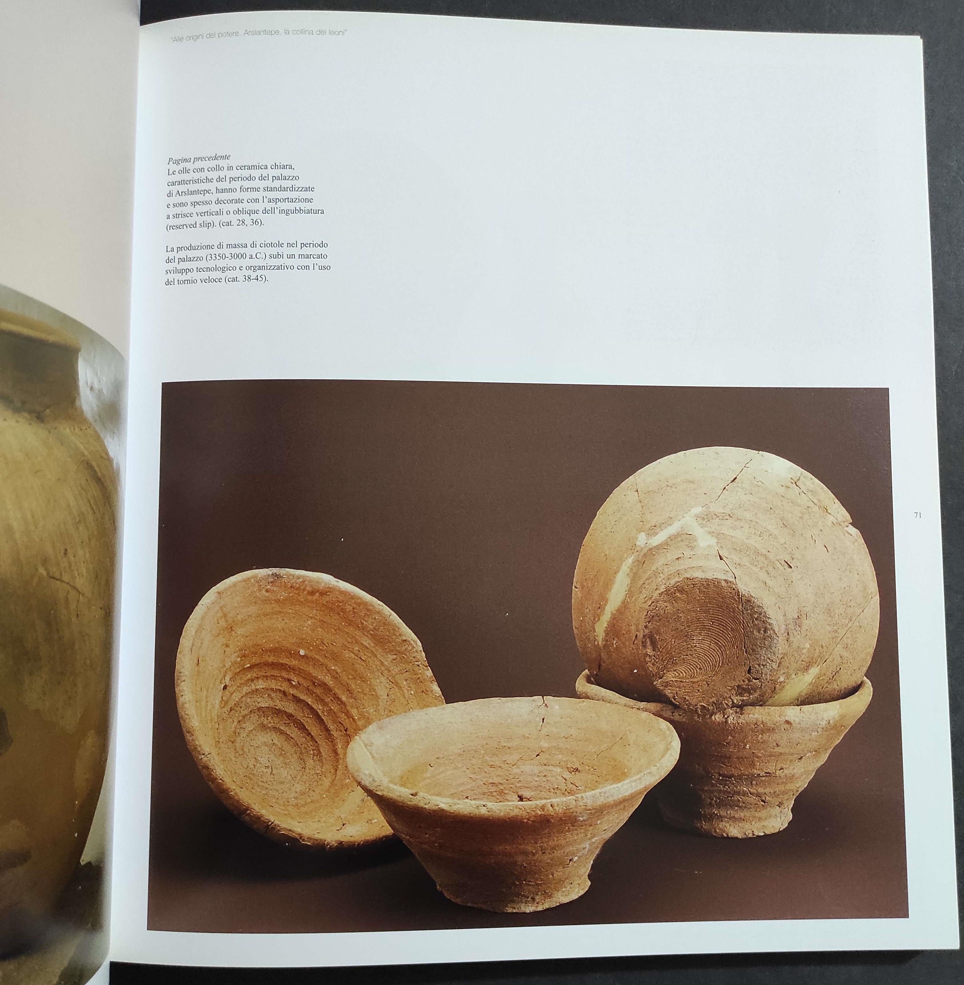 Alle Origini del Potere. Arslantepe, La Collina dei Leoni