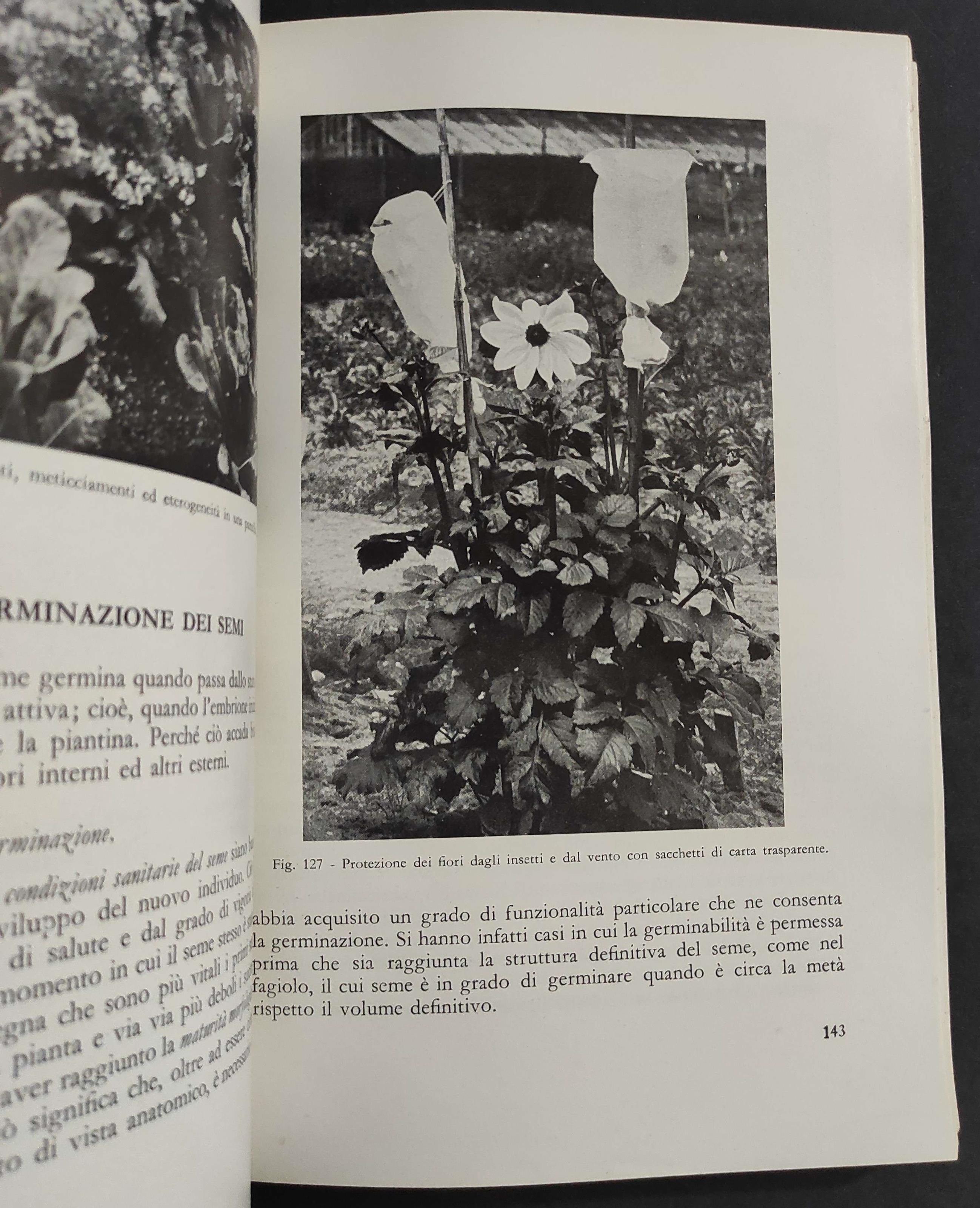 Il Mondo Vegetale