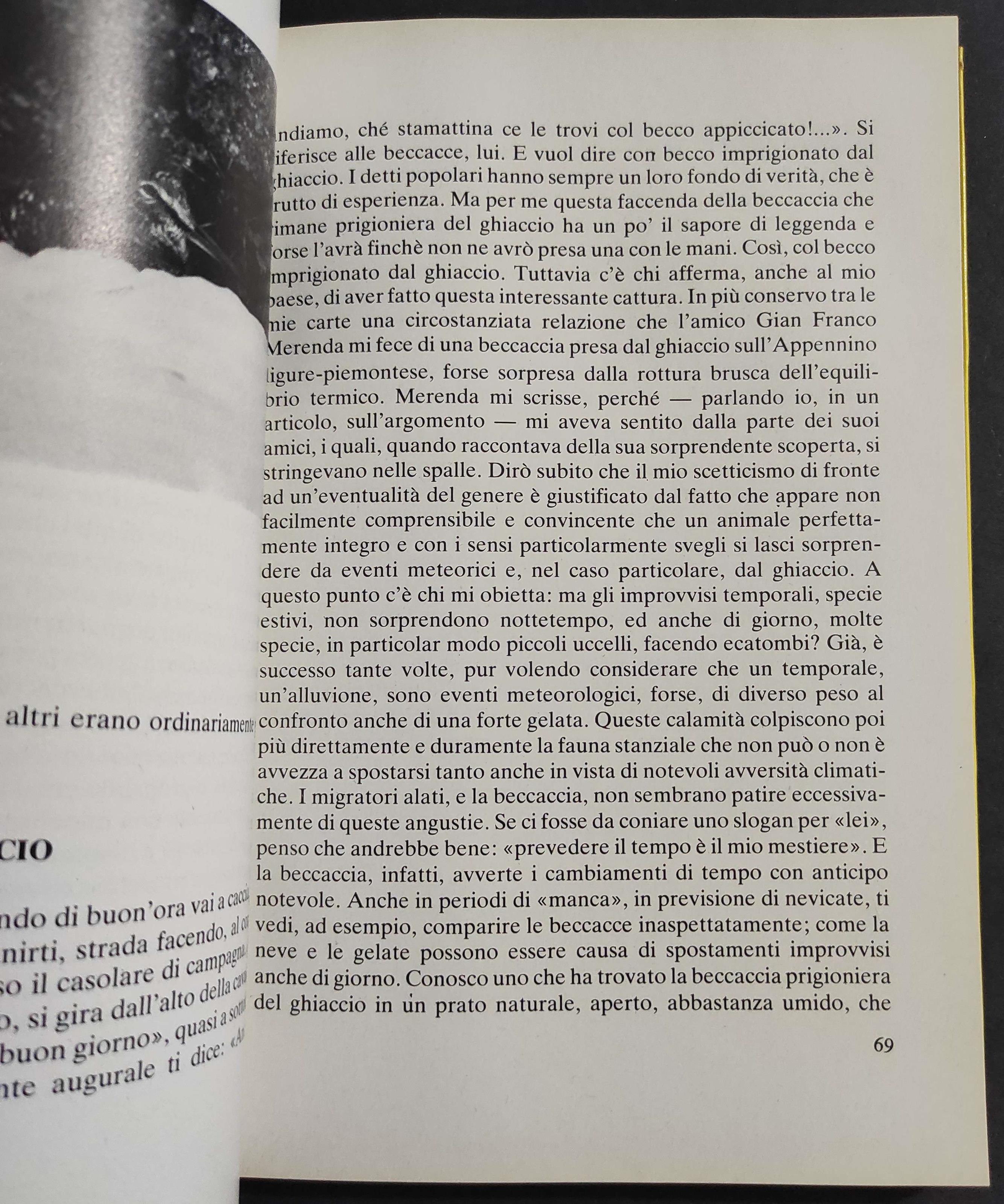 Il Nuovo Libro della Beccaccia