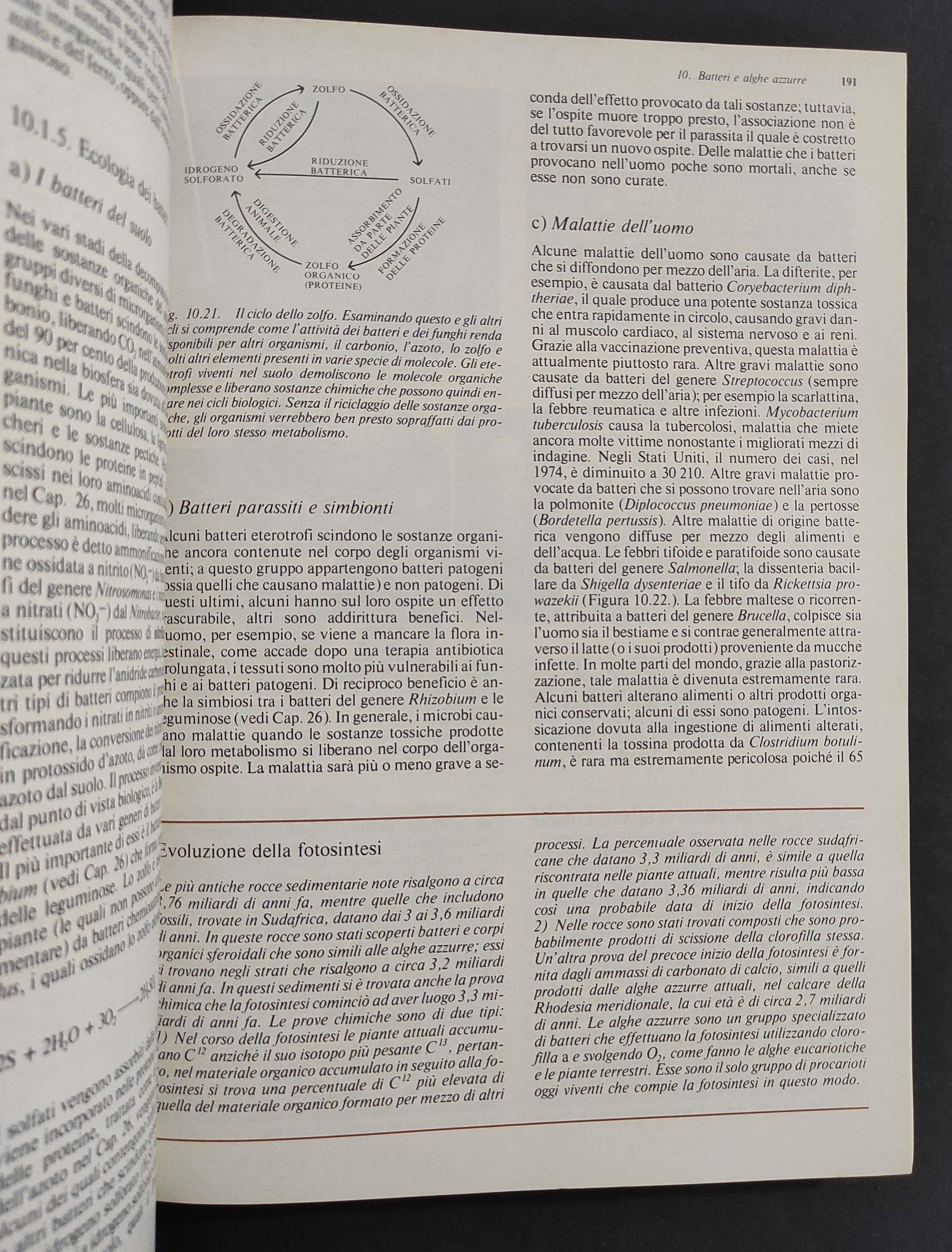 Biologia delle Piante