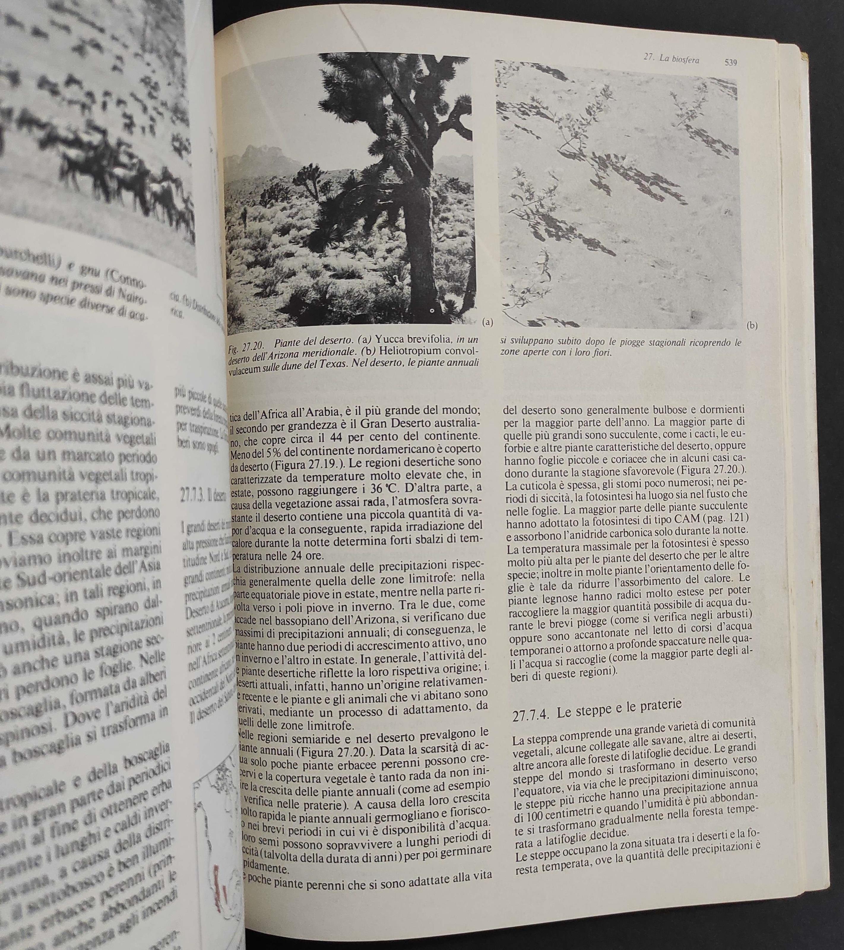 Biologia delle Piante