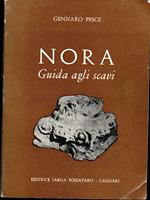 Nora Guida agli scavi