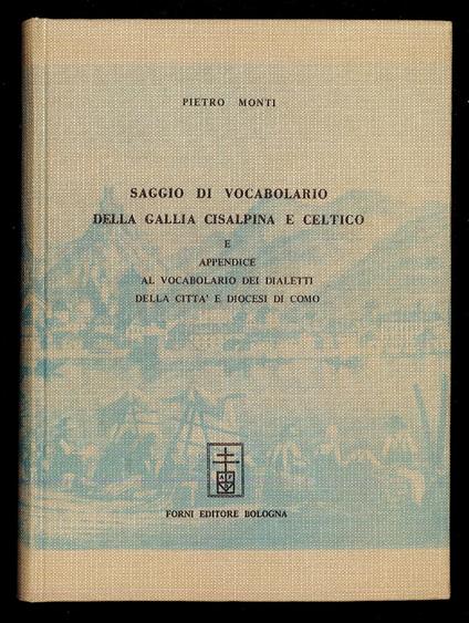 Saggio di Vocabolario della Gallia Cisalpina e Celtico e appendice al vocabolario dei dialetti della città e diocesi di Como - Pietro Monti - copertina