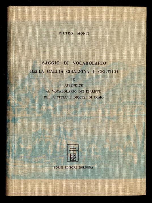 Saggio di Vocabolario della Gallia Cisalpina e Celtico e appendice al vocabolario dei dialetti della città e diocesi di Como - Pietro Monti - copertina