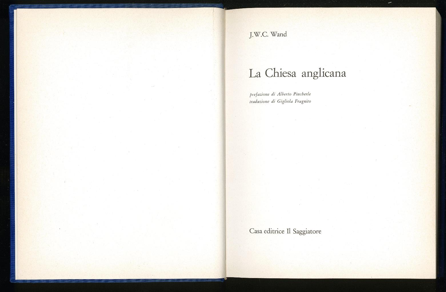 Libreria Trippini Sergio