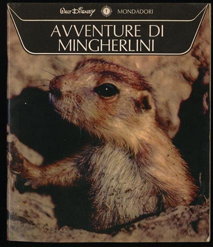 Avventure di Mingherlini - Ruth Muller - copertina