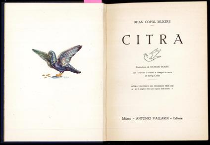 Citra - copertina