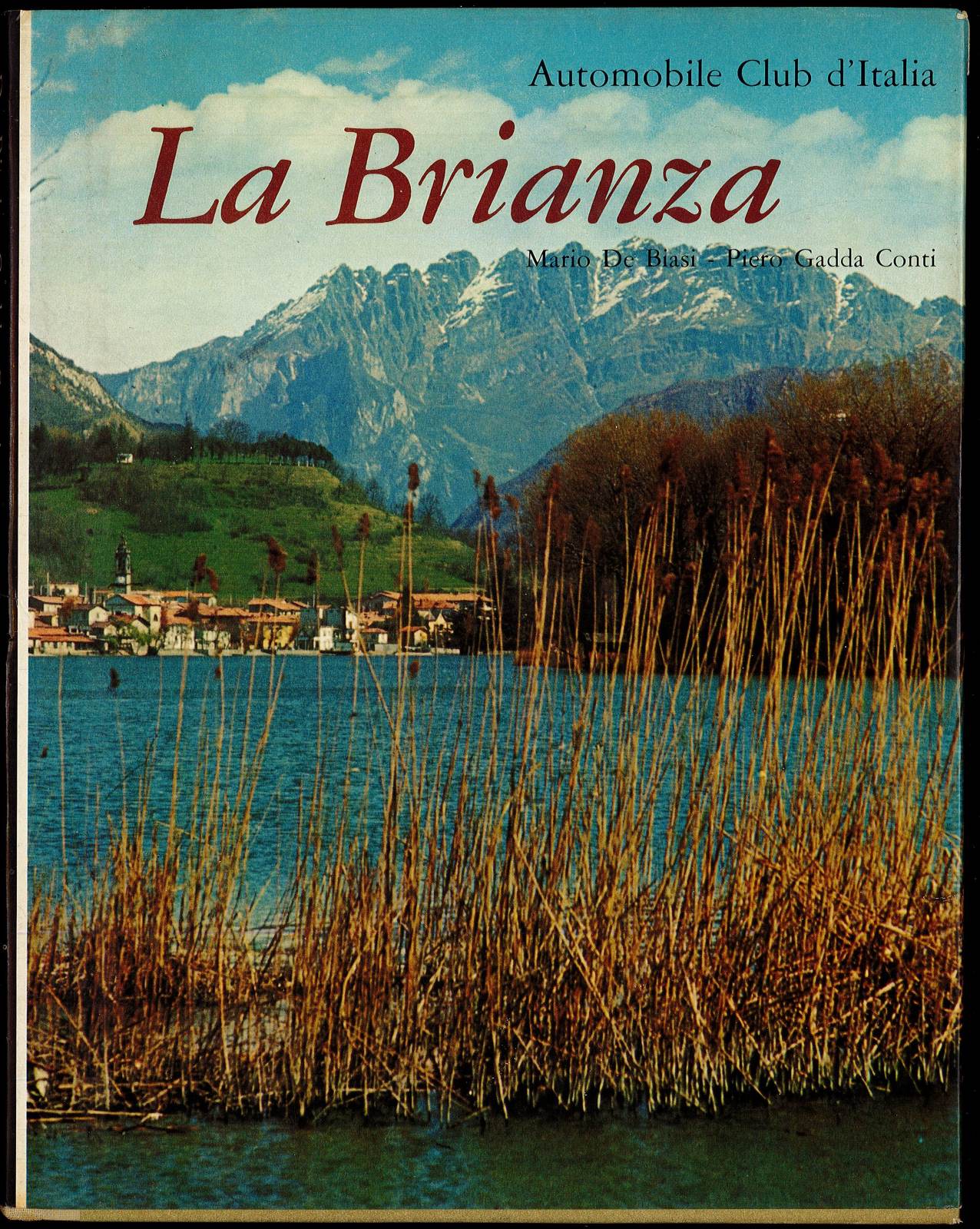 Libreria Trippini Sergio