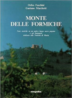 MONTE DELLE FORMICHE. Note storiche su un antico luogo sacro pagano e sul Santuario dedicato alla Natività di Maria - copertina