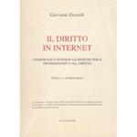 Il diritto in internet. Ciberspazio e risorse giuridiche per il professionista del diritto. Prefazione di Ethan Katsh