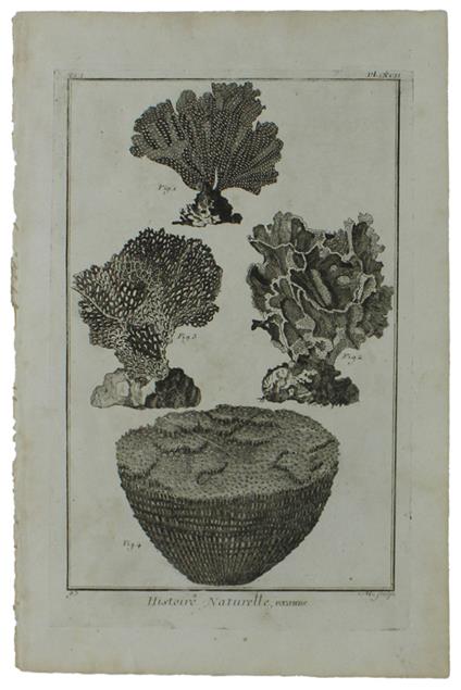 HISTOIRE NATURELLE, POLYPIERS - Two Original Antique Engravings - Diderot & d'Alembert - 1770 - copertina