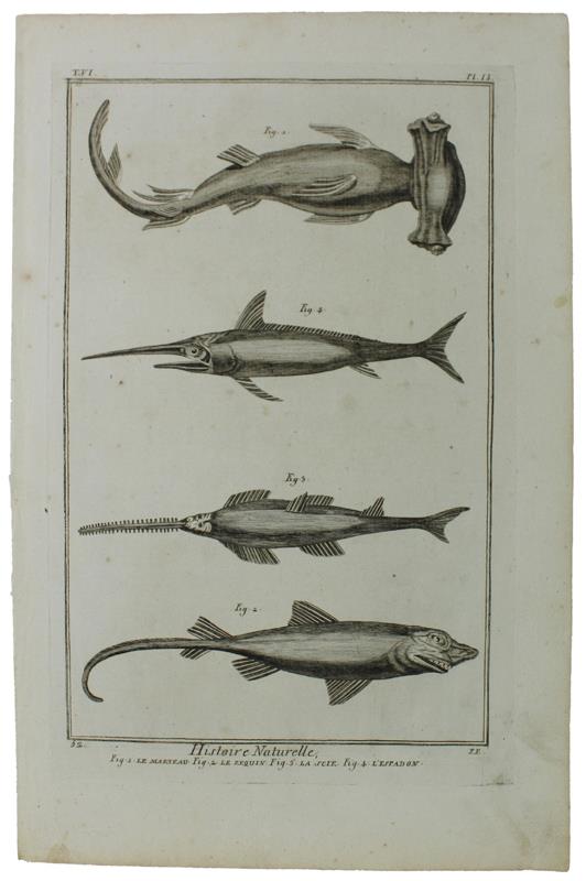 HISTOIRE NATURELLE, Le Marteau - Le Requin - La Scie - l'Espadon - Original Antique Engraving - Diderot & d'Alembert - 1770 - copertina