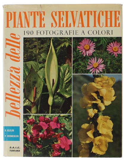 BELLEZZA DELLE PIANTE SELVATICHE. Con 190 foto a colori - Kleijn H. Vermeulen P - copertina