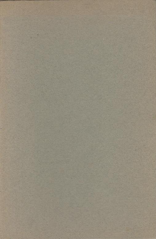 Chiang Phu Ngam (Lamento Della Sposa Del Guerriero) - Maria Violanti - copertina