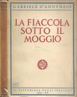 La fiaccola sotto il moggio